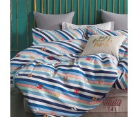 Постельное белье Вилюта Сатин Twill 541 (Подростковый)