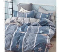 Постельное белье Вилюта Сатин Twill 537 (Подростковый)