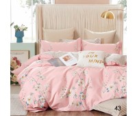 Постельное белье Viluta Isleep сатин Twill 43 (Двойной) Постельное белье Viluta Isleep сатин Twill 43 (Двойной)