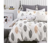 Постельное белье Viluta Isleep сатин Twill 667 (Двойной)